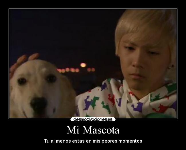 Mi Mascota -