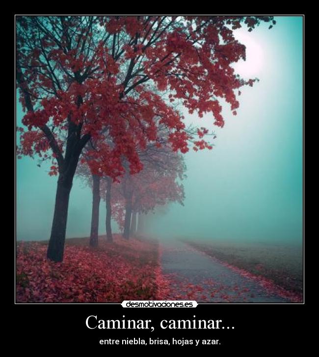 Caminar, caminar... - entre niebla, brisa, hojas y azar.