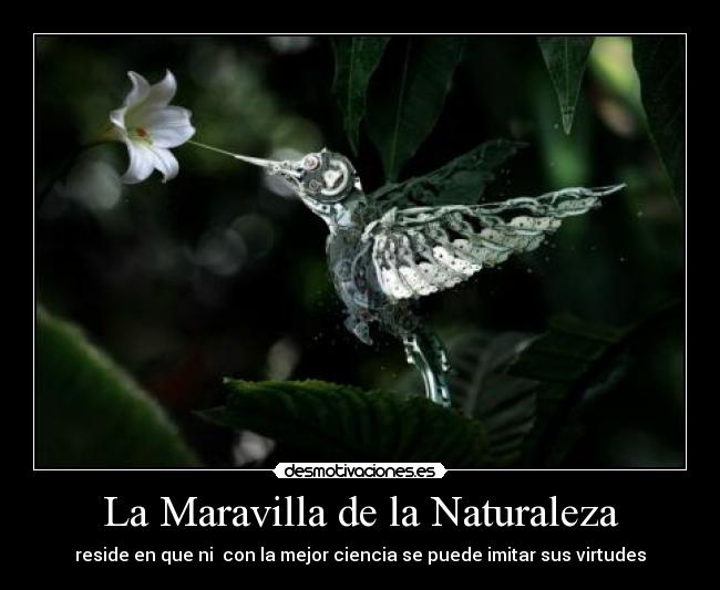 La Maravilla de la Naturaleza - 