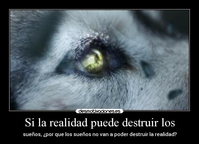 Si la realidad puede destruir los -