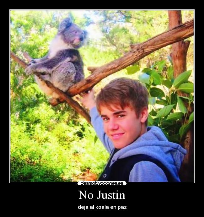 carteles justin que tocas desmotivaciones