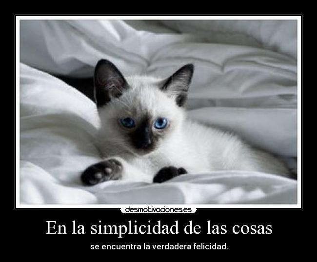 En la simplicidad de las cosas -