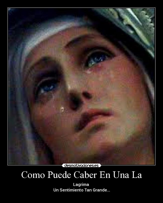 Como Puede Caber En Una La -