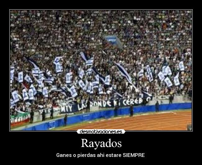 carteles rayados desmotivaciones