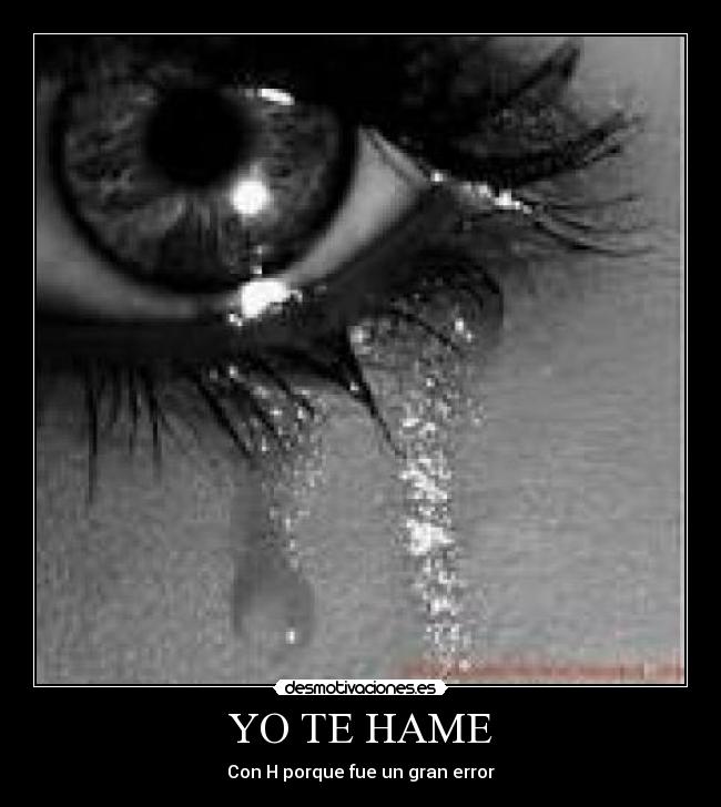 YO TE HAME -