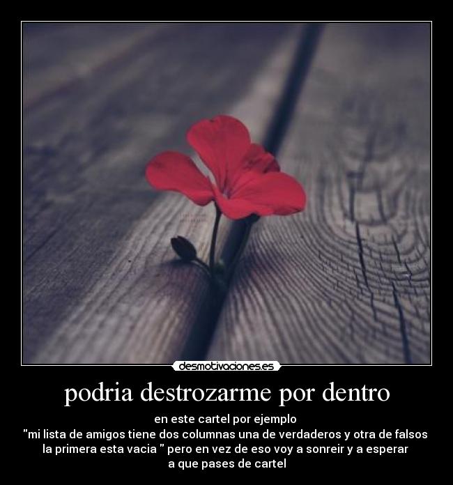 podria destrozarme por dentro -