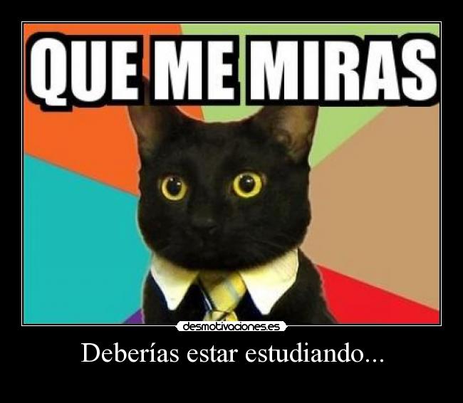 carteles deverias estar estudiando haiendo deberes prinsi vengaa desmotivaciones