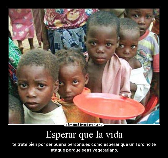 Esperar que la vida - te trate bien por ser buena persona,es como esperar que un Toro no te
ataque porque seas vegetariano.