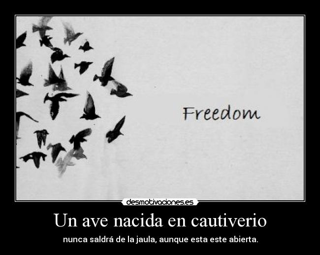 Un ave nacida en cautiverio -