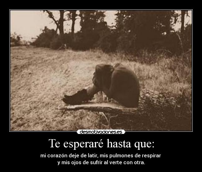 Te esperaré hasta que: - mi corazón deje de latir, mis pulmones de respirar
y mis ojos de sufrir al verte con otra.