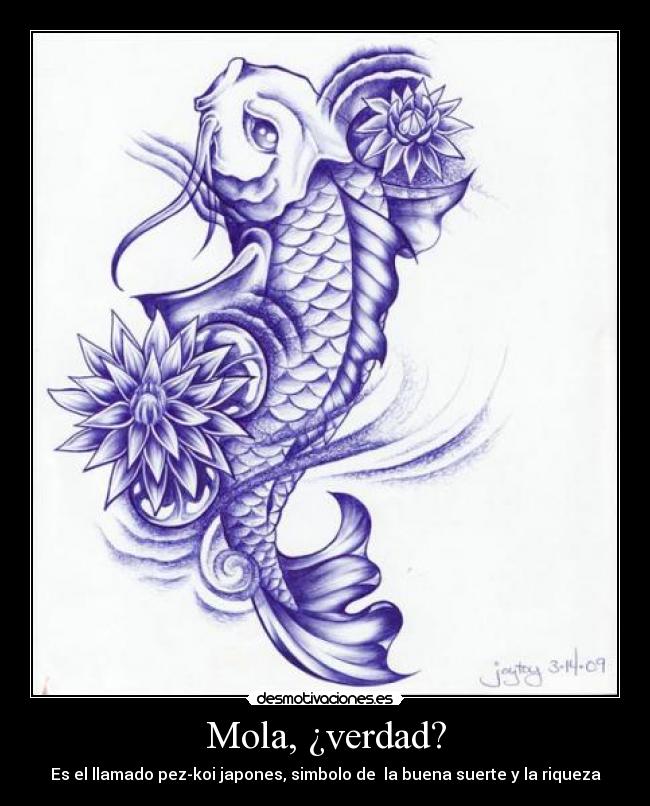 carteles pez koi desmotivaciones