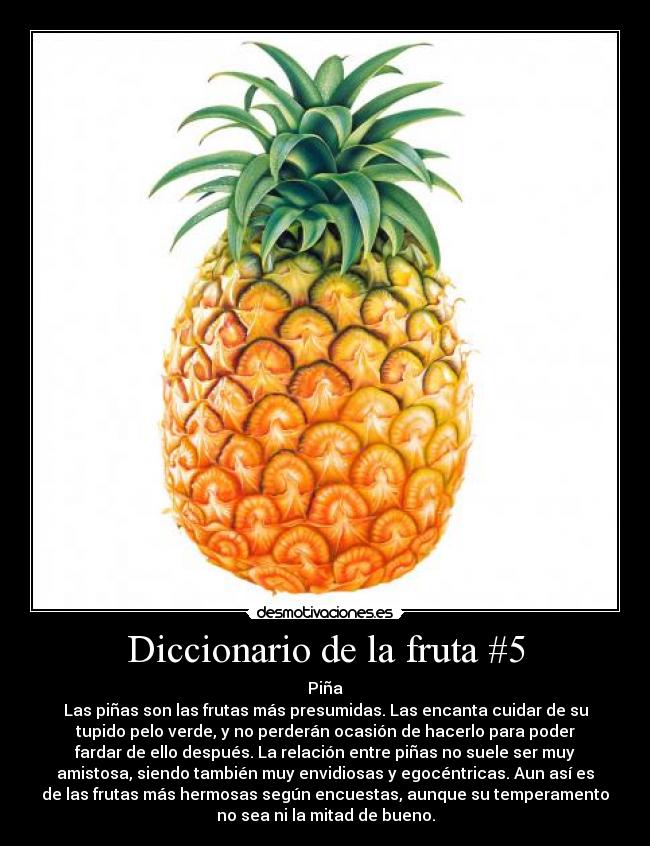 Diccionario de la fruta #5 - Piña
Las piñas son las frutas más presumidas. Las encanta cuidar de su
tupido pelo verde, y no perderán ocasión de hacerlo para poder
fardar de ello después. La relación entre piñas no suele ser muy
amistosa, siendo también muy envidiosas y egocéntricas. Aun así es
de las frutas más hermosas según encuestas, aunque su temperamento
no sea ni la mitad de bueno.