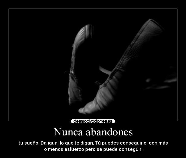 Nunca abandones - tu sueño. Da igual lo que te digan. Tú puedes conseguirlo, con más
o menos esfuerzo pero se puede conseguir.