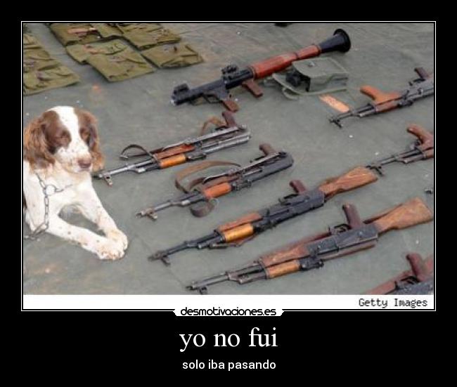 yo no fui - solo iba pasando