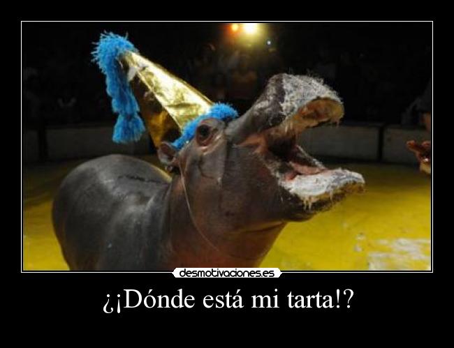 ¿¡Dónde está mi tarta!? -