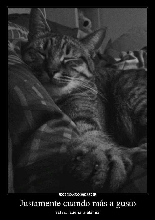 carteles cuando mas gusto desmotivaciones