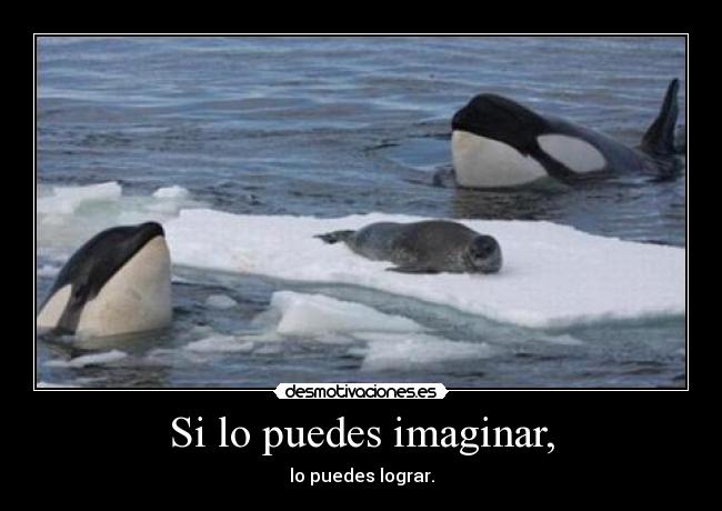 Si lo puedes imaginar, - lo puedes lograr.