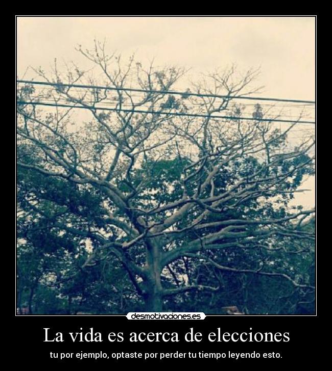 La vida es acerca de elecciones - 