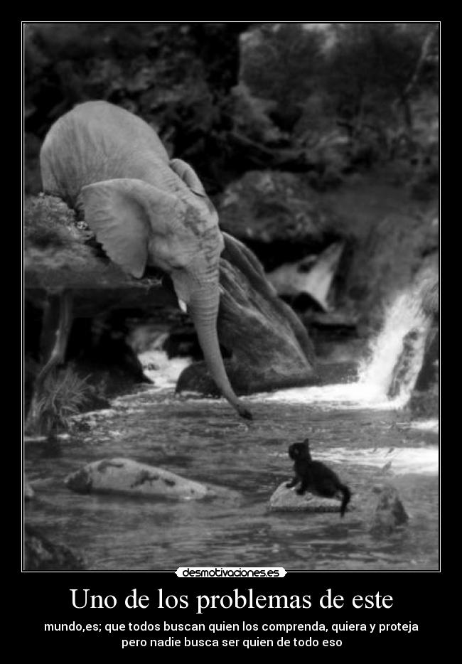 carteles problemas lindos animalitos clantriton clantheblackcat rasismo los gatos negros desmotivaciones