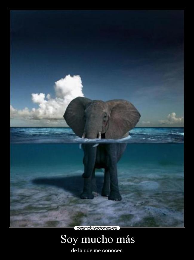 Soy mucho más - de lo que me conoces.