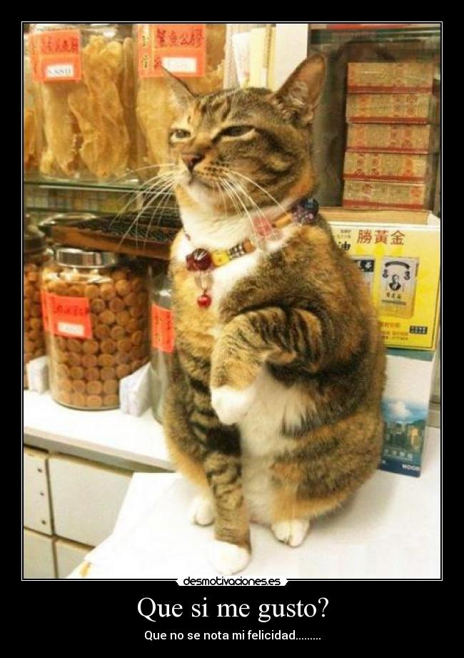 Que si me gusto? - Que no se nota mi felicidad.........