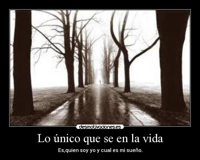 carteles vida unico que desmotivaciones