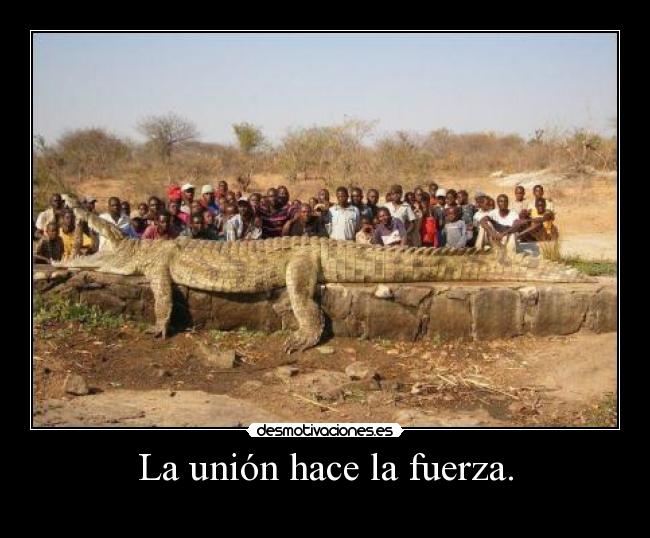 La unión hace la fuerza. -