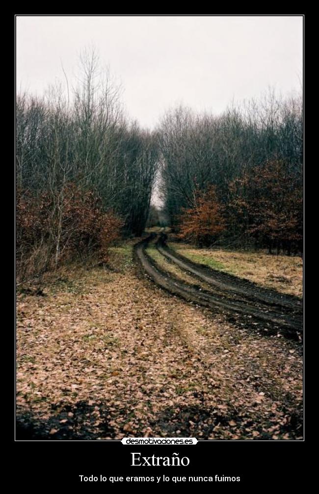 Extraño -