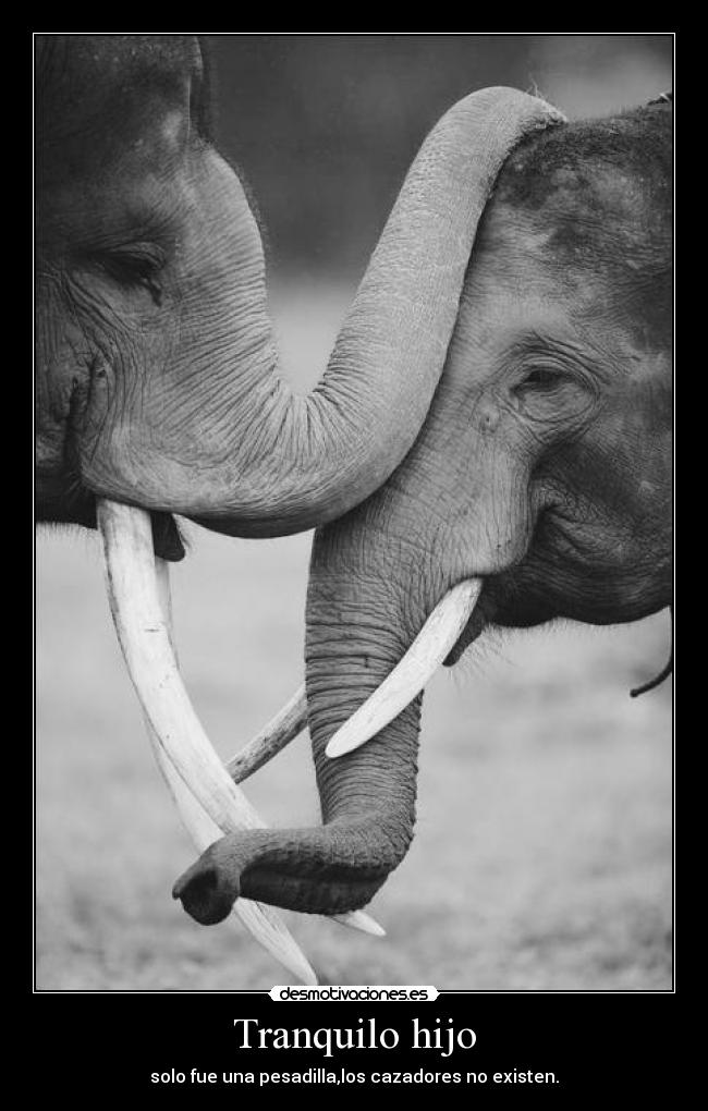 carteles ojala fuese asi desmotivaciones