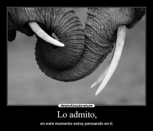 Lo admito, - en este momento estoy pensando en ti.