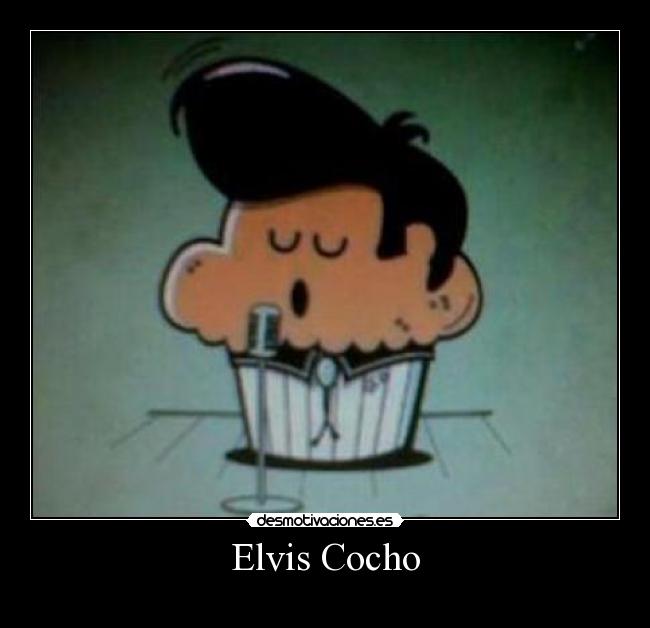 Elvis Cocho -