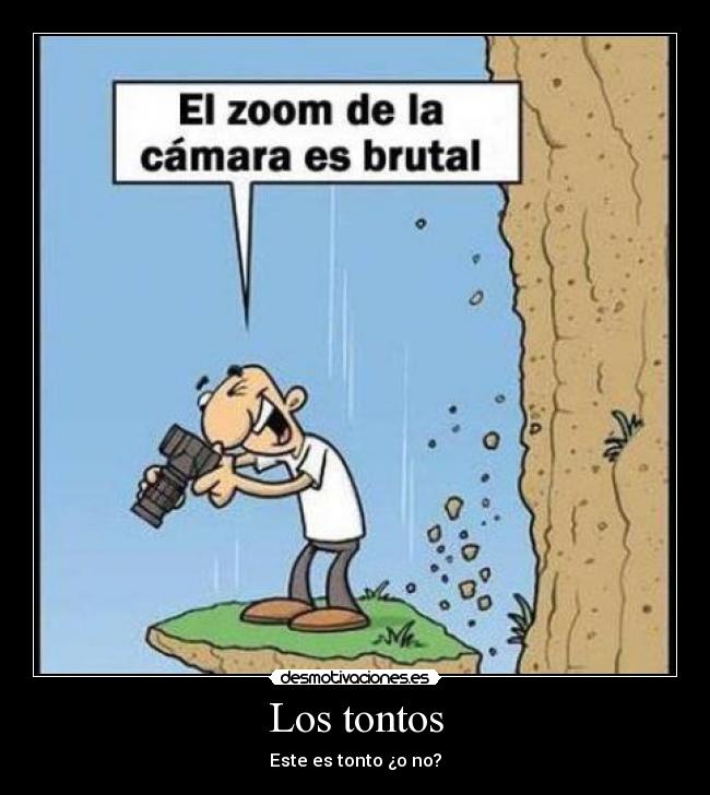 carteles tonto desmotivaciones