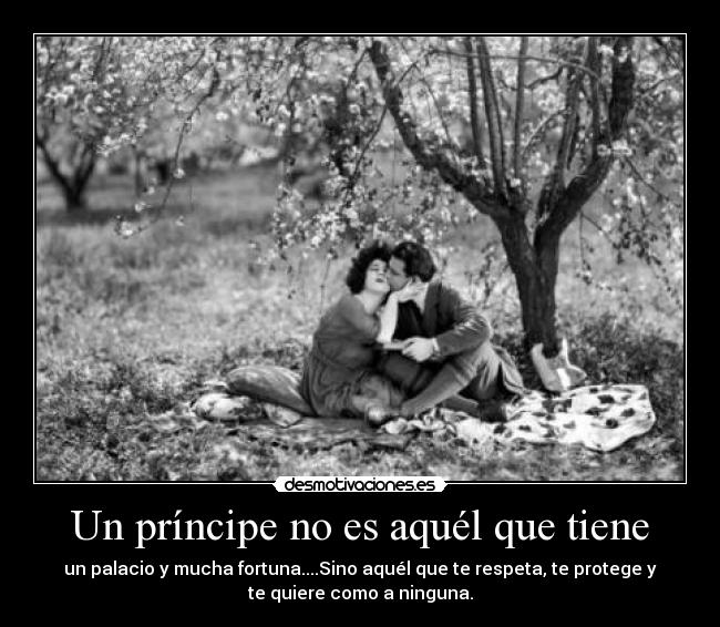 Un príncipe no es aquél que tiene - un palacio y mucha fortuna....Sino aquél que te respeta, te protege y
te quiere como a ninguna.