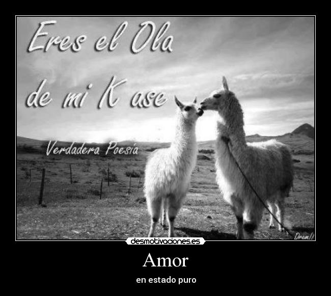 Amor - en estado puro
