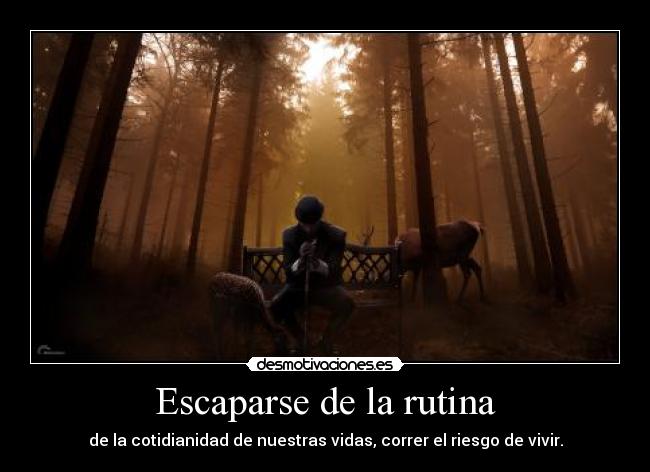 Escaparse de la rutina - de la cotidianidad de nuestras vidas, correr el riesgo de vivir.