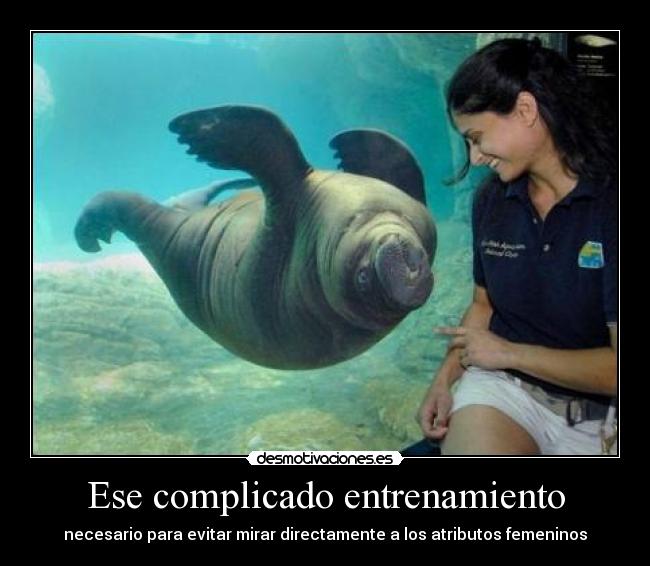 carteles eften comparado naruto son juegos mesa desmotivaciones