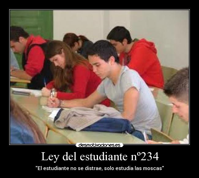 Ley del estudiante nº234 - El estudiante no se distrae, solo estudia las moscas