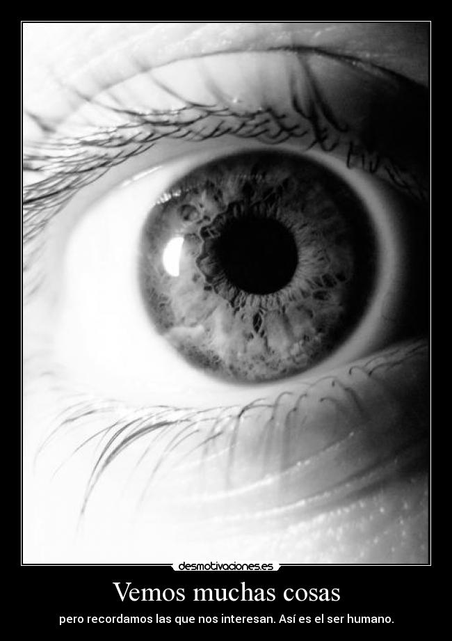 Vemos muchas cosas - 