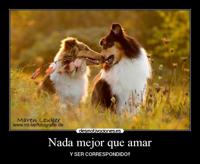 Nada mejor que amar - Y SER CORRESPONDIDO!!