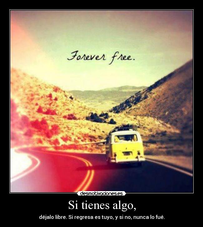 carteles libre desmotivaciones