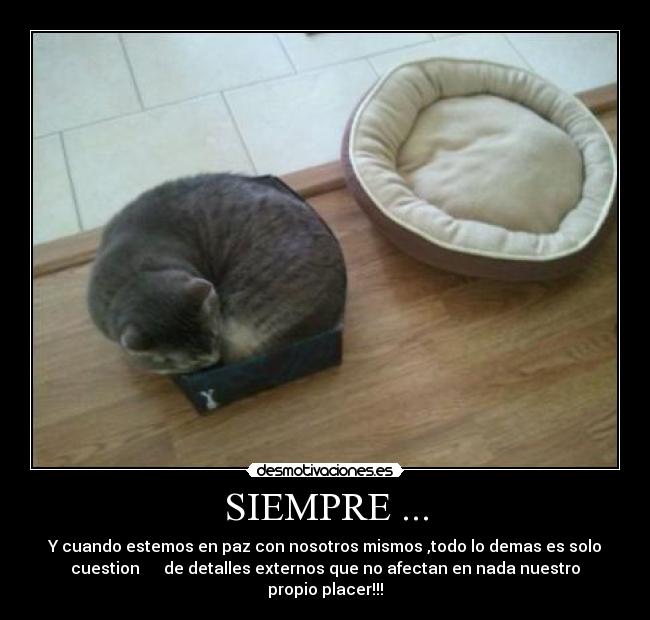 SIEMPRE ... - Y cuando estemos en paz con nosotros mismos ,todo lo demas es solo
cuestion de detalles externos que no afectan en nada nuestro
propio placer!!!