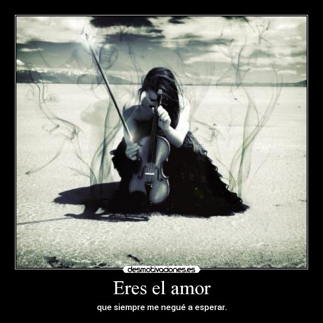 carteles amor amm daniela velasquez snukki desmotivaciones