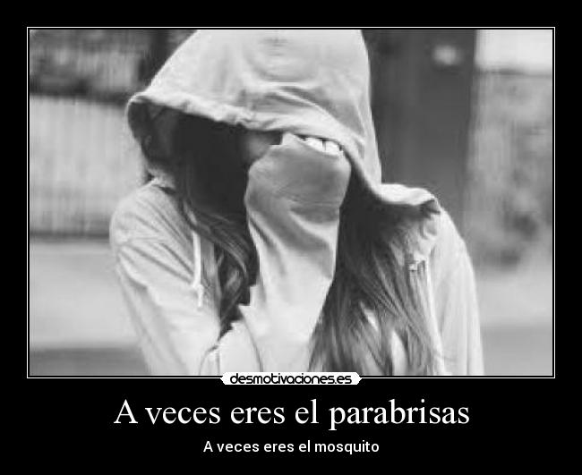 A veces eres el parabrisas - A veces eres el mosquito