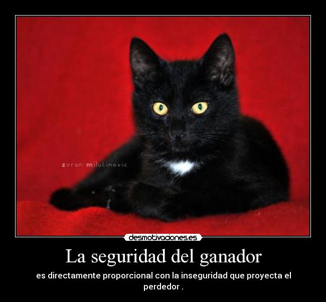 La seguridad del ganador -