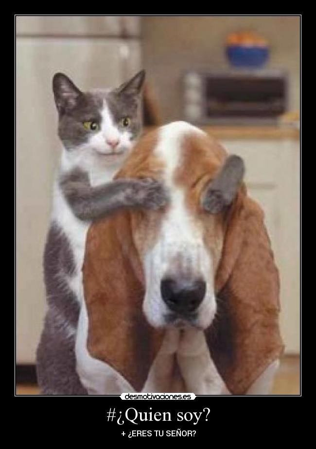 #¿Quien soy? - + ¿ERES TU SEÑOR?