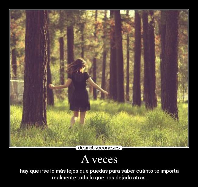 carteles lejor correr atras bosque desmotivaciones