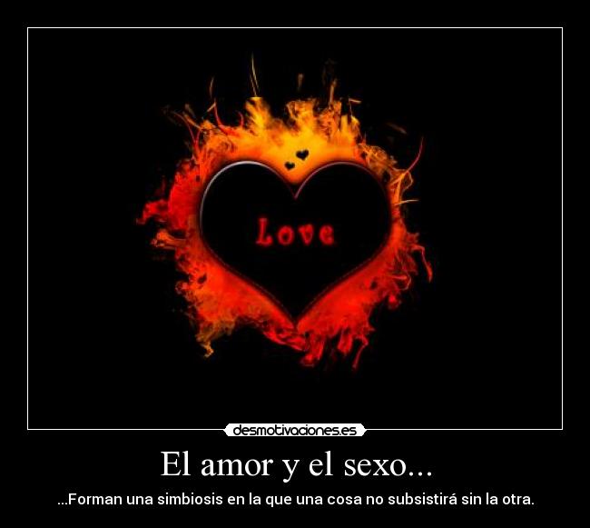 carteles amor sexo amor ligado placer veas desmotivaciones