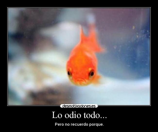 Lo odio todo... -