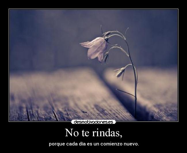No te rindas, -