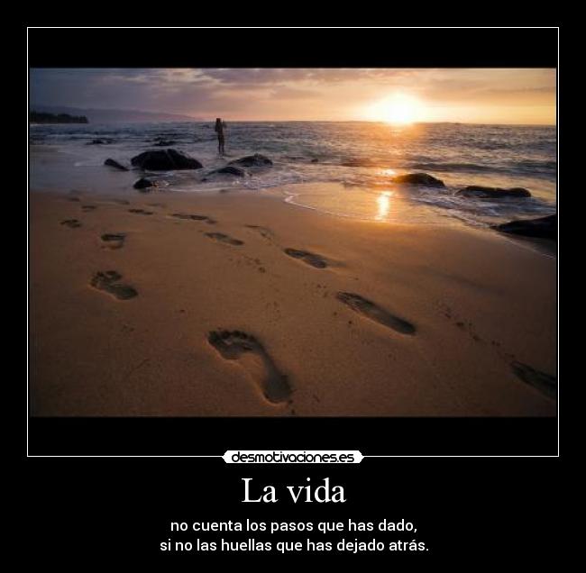 carteles vida trgkh desmotivaciones